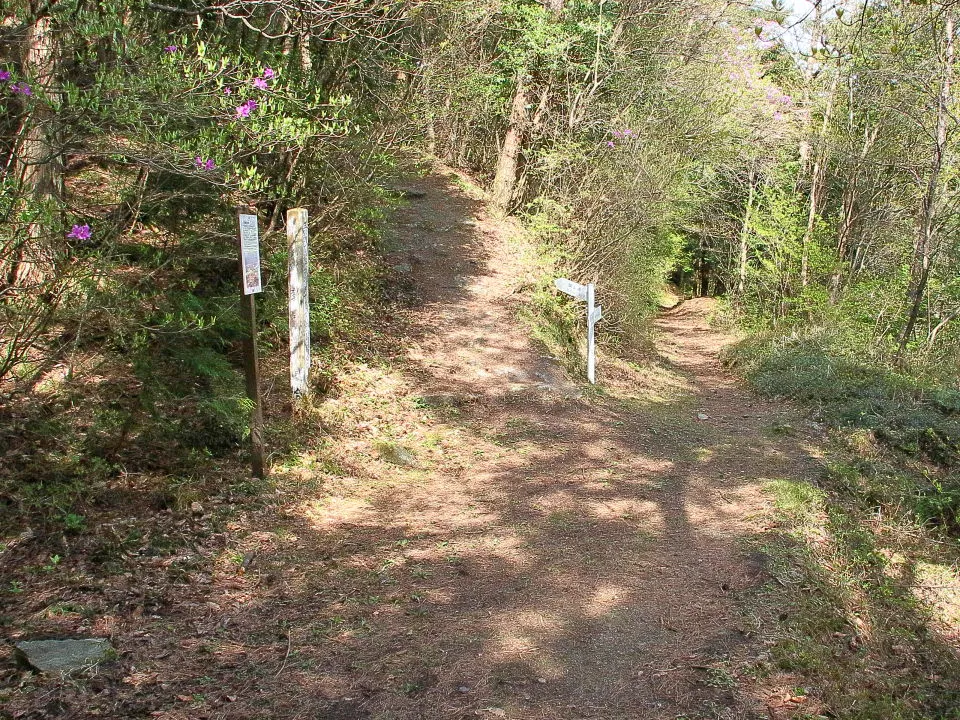 銅山峰への分岐