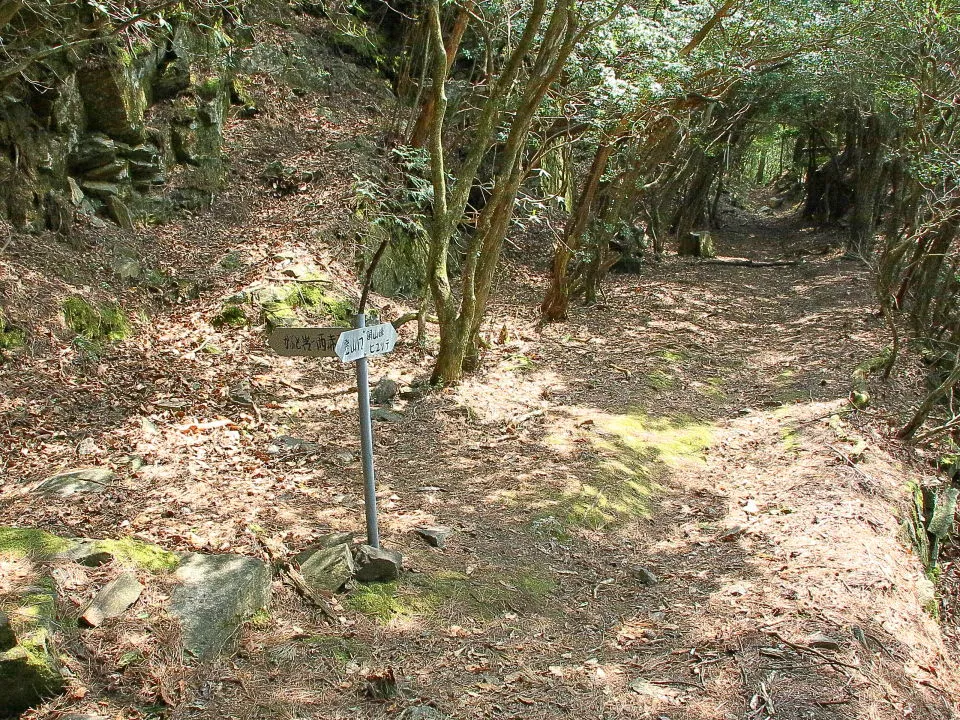 旧上部鉄道跡に合流