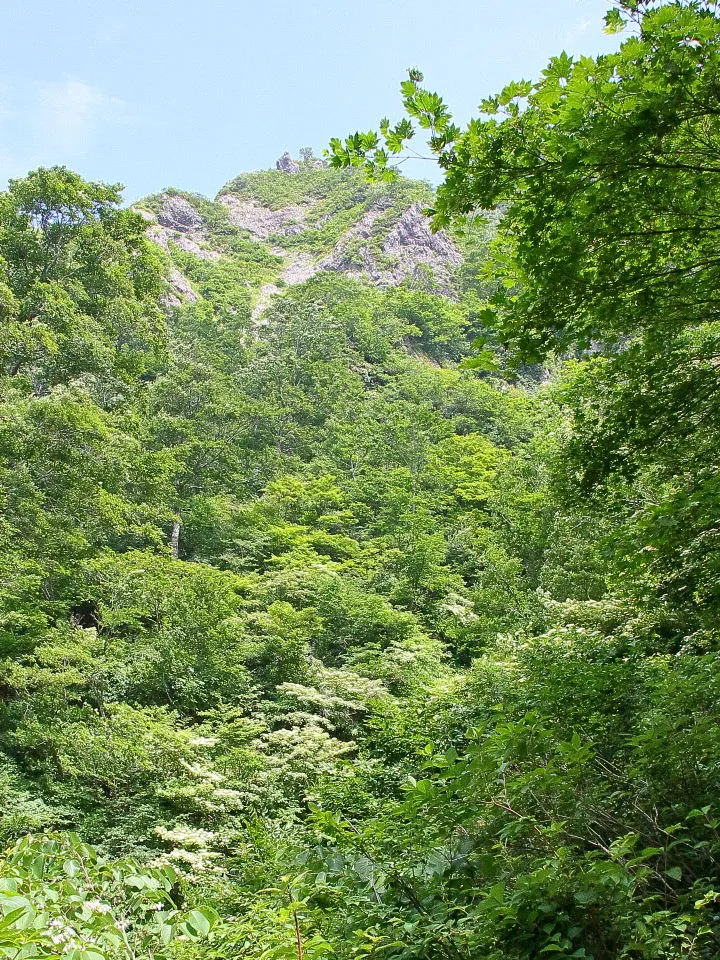 登山道から