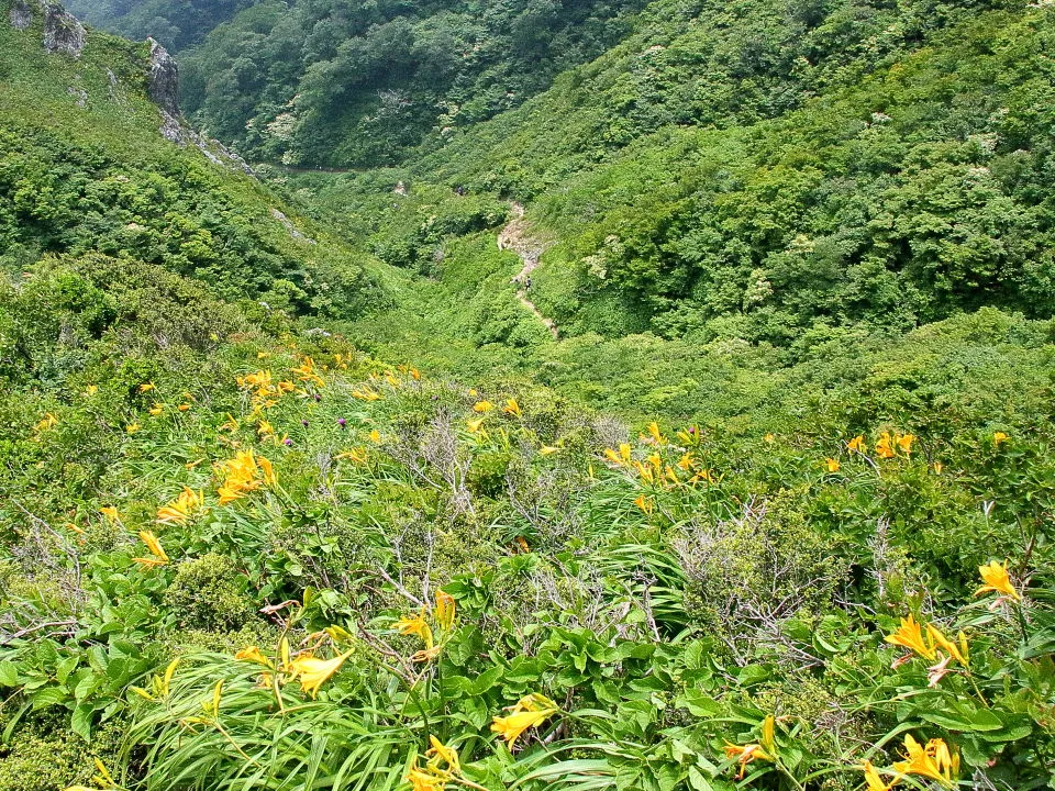 登山道