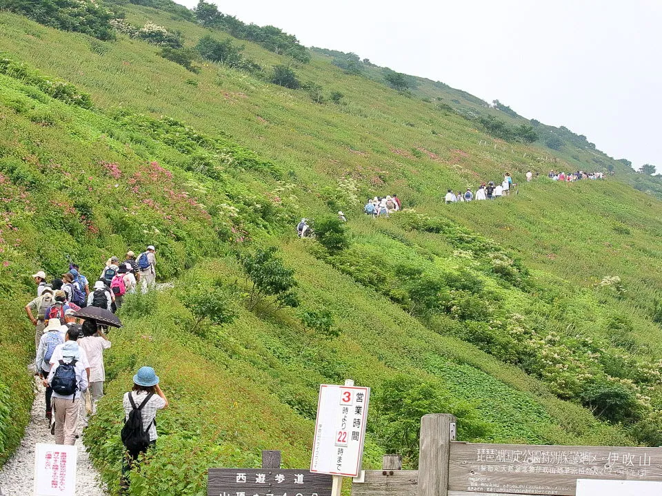 西遊歩道