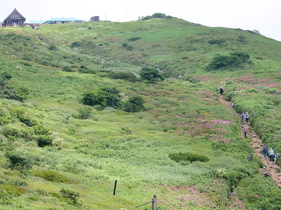 上野登山口側山頂付近