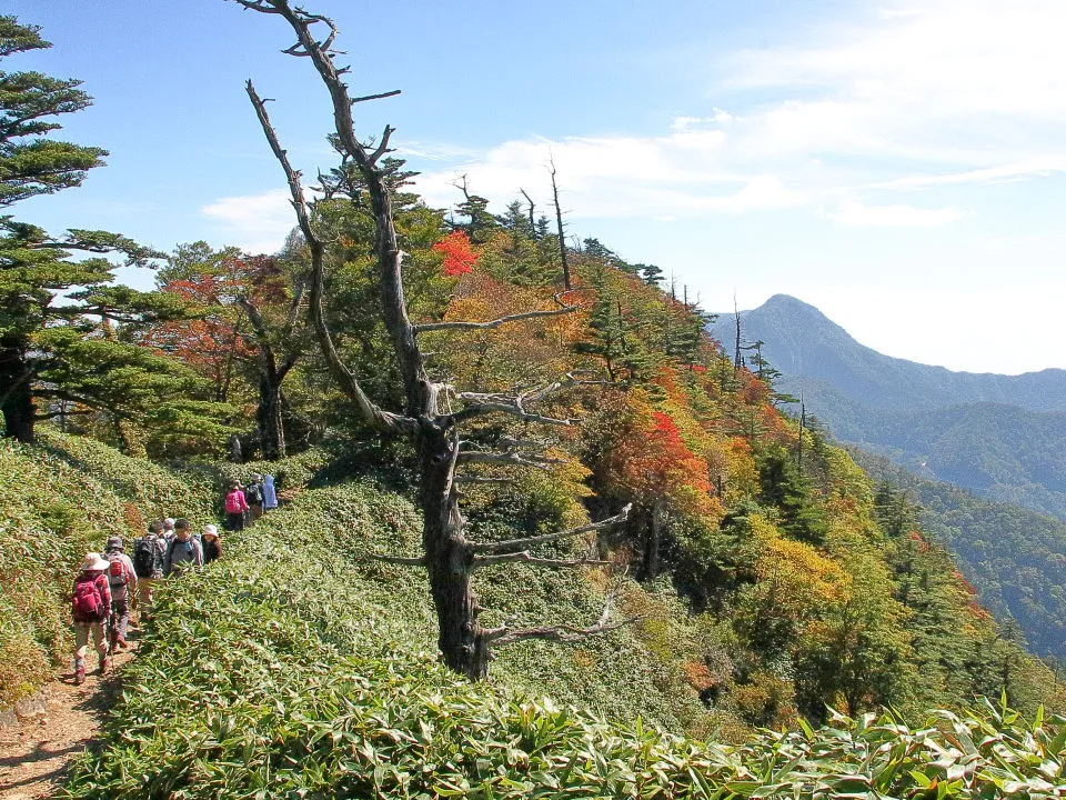 土小屋への下山道