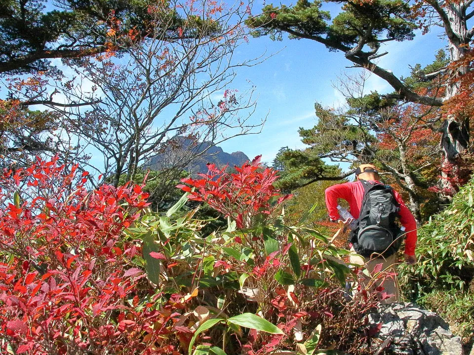 石鎚山を振り返る