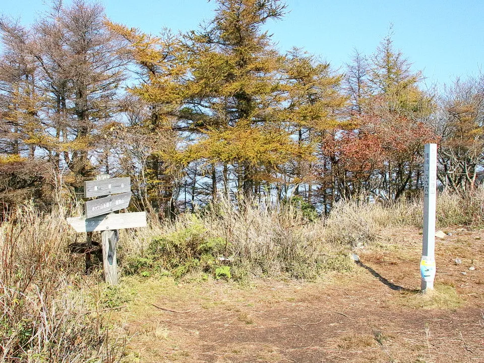 権現山