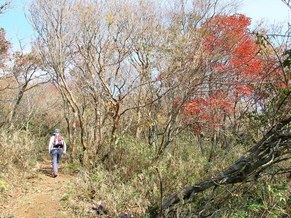 ホッケ山への尾根道