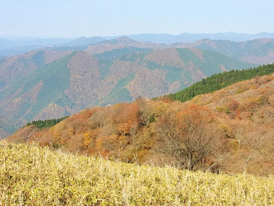 山腹の紅葉