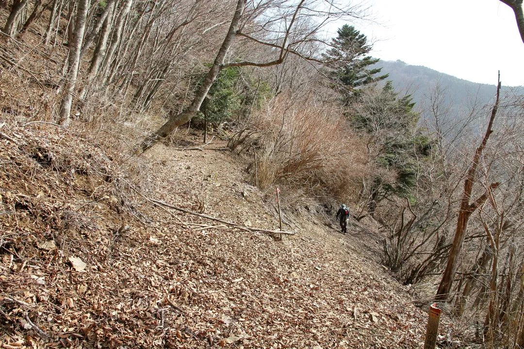 鉄塔巡視道からトロッコ道に