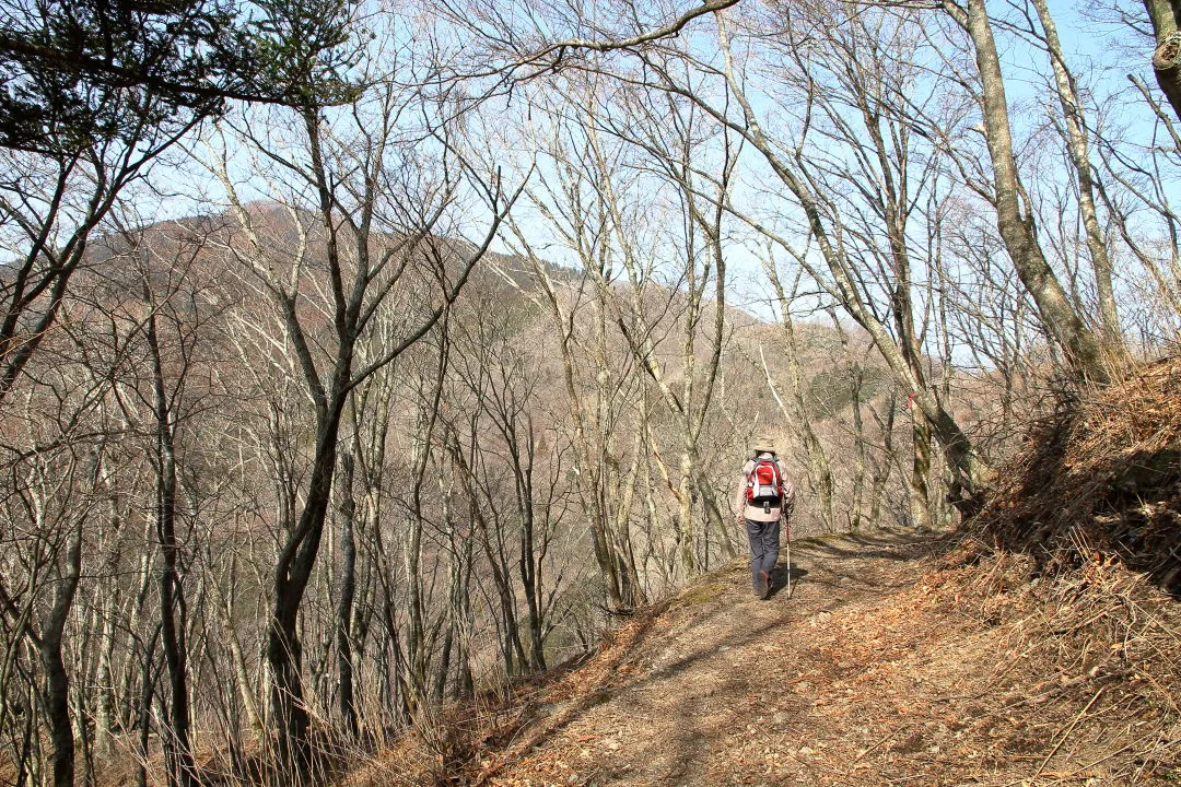 正面に西三子山