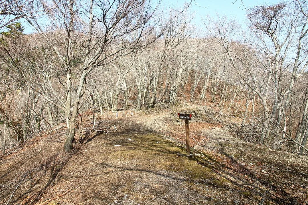 トロッコ道合流部