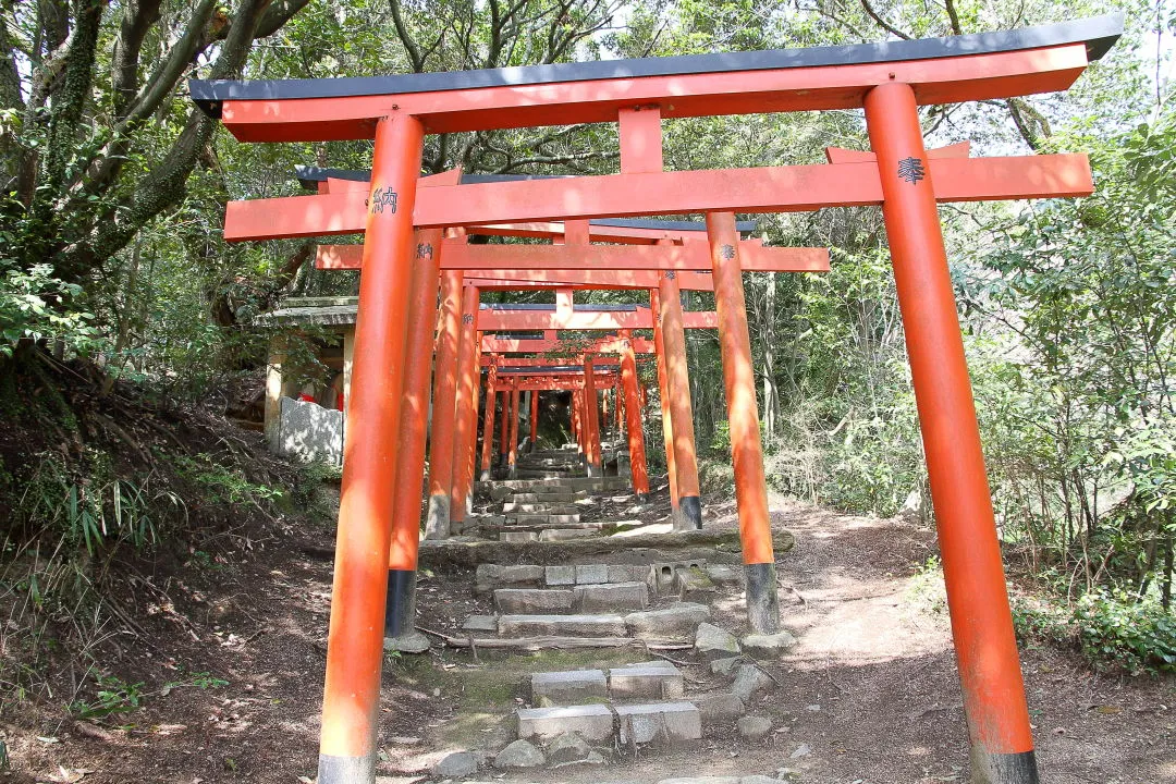 稲荷山道の赤鳥居