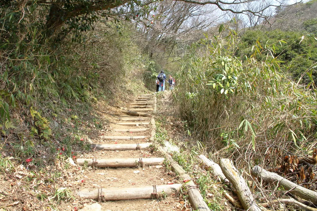 天狗道