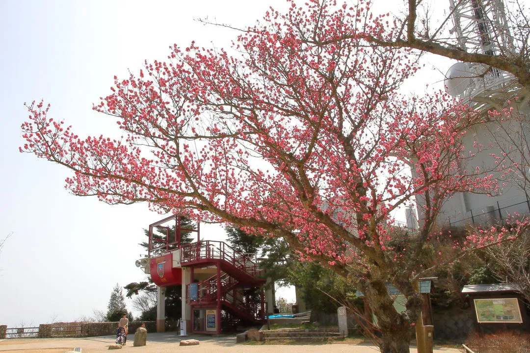 摩耶ロープウェイ山上駅