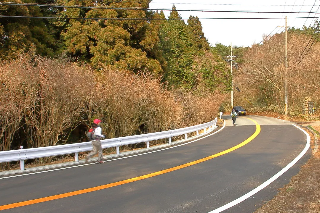 山頂の車道