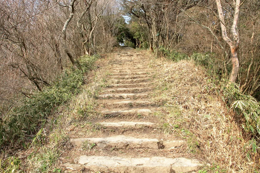 六甲最高峰へ