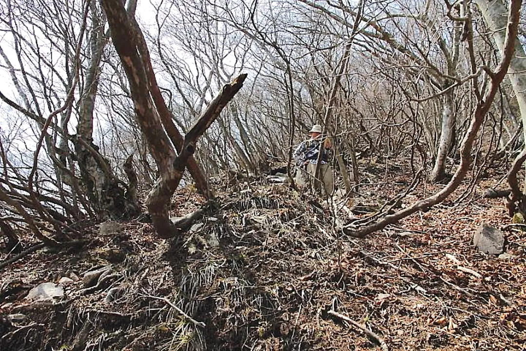 急な登山道