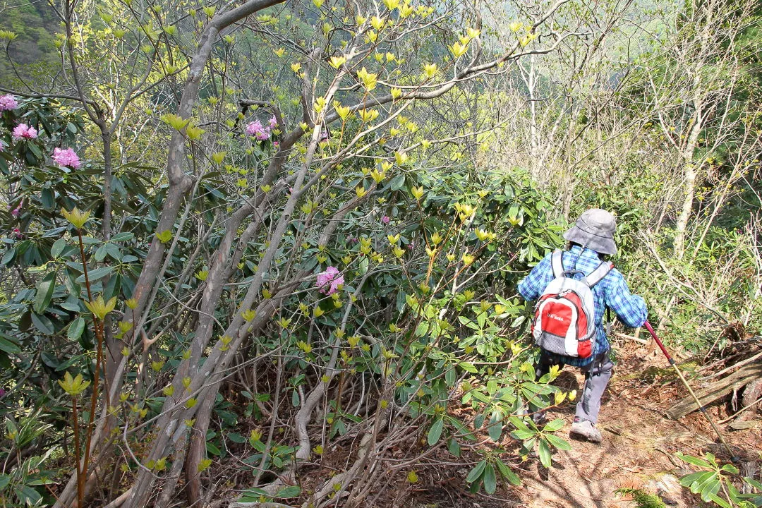 急斜面の登山道