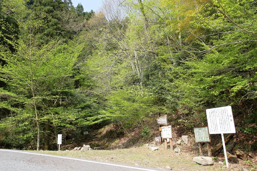 大幹線林道を越える