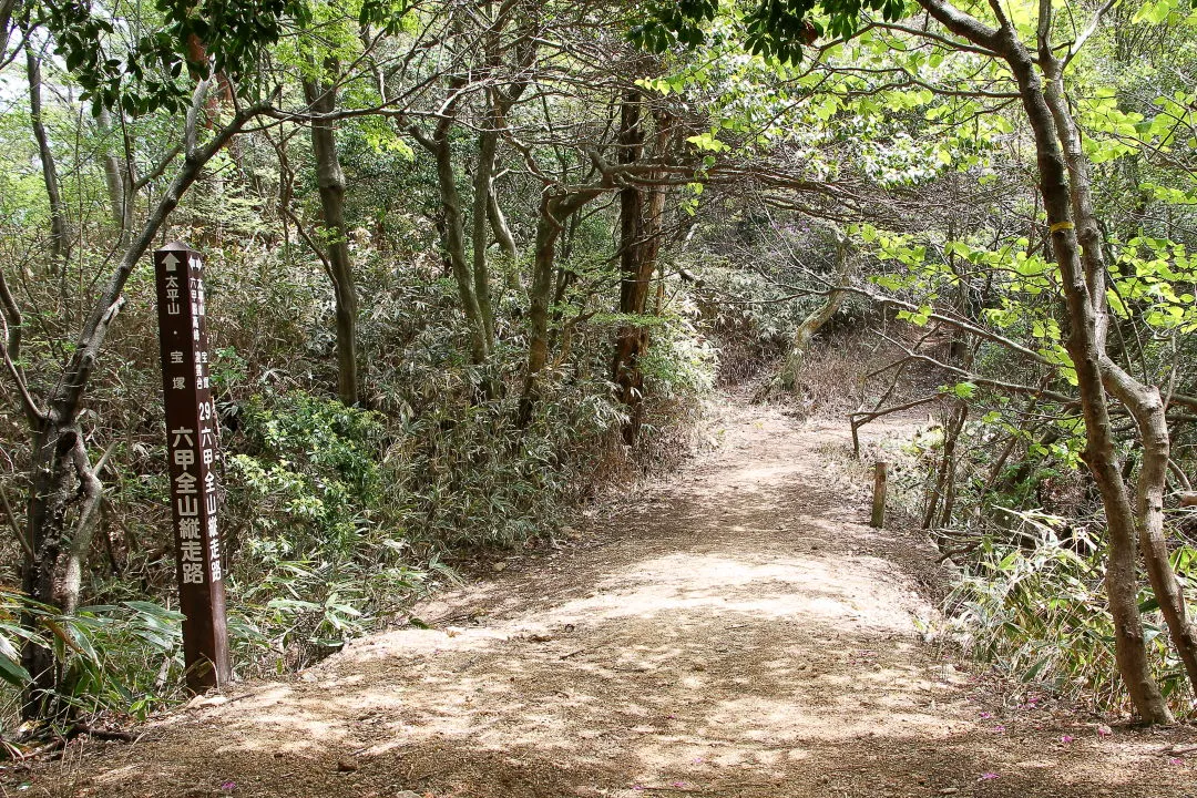 平坦な縦走路