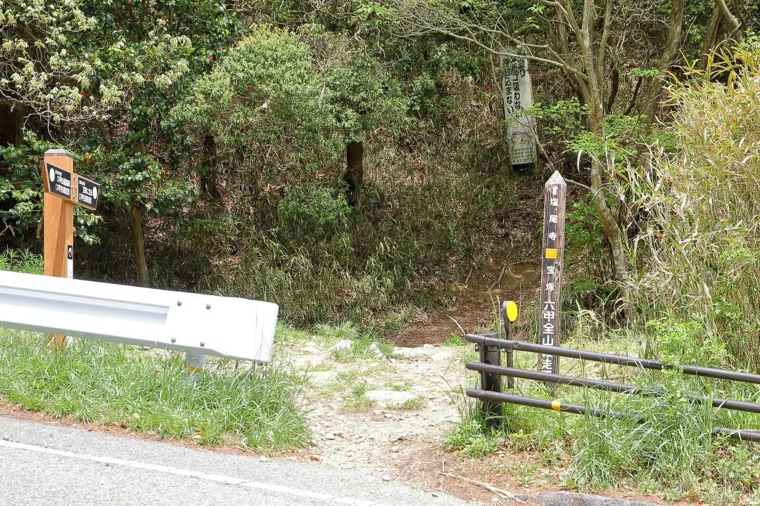 車道を越えて岩原山へ