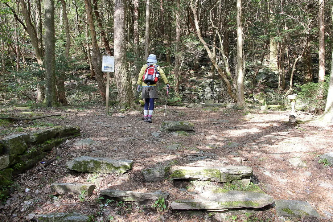 目出度町経由ルート