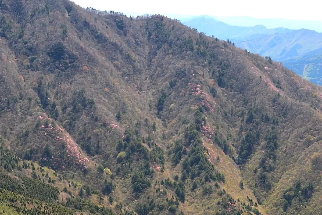 西赤石山山頂から物住頭下方