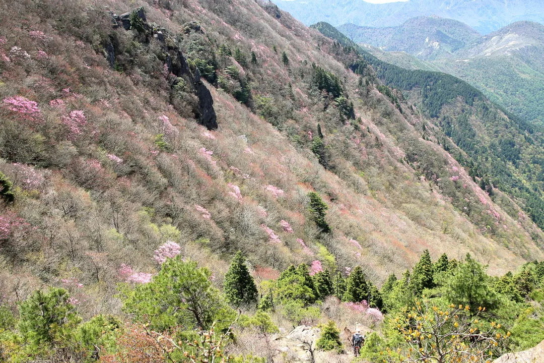 兜岩から西赤石山西赤石山下方