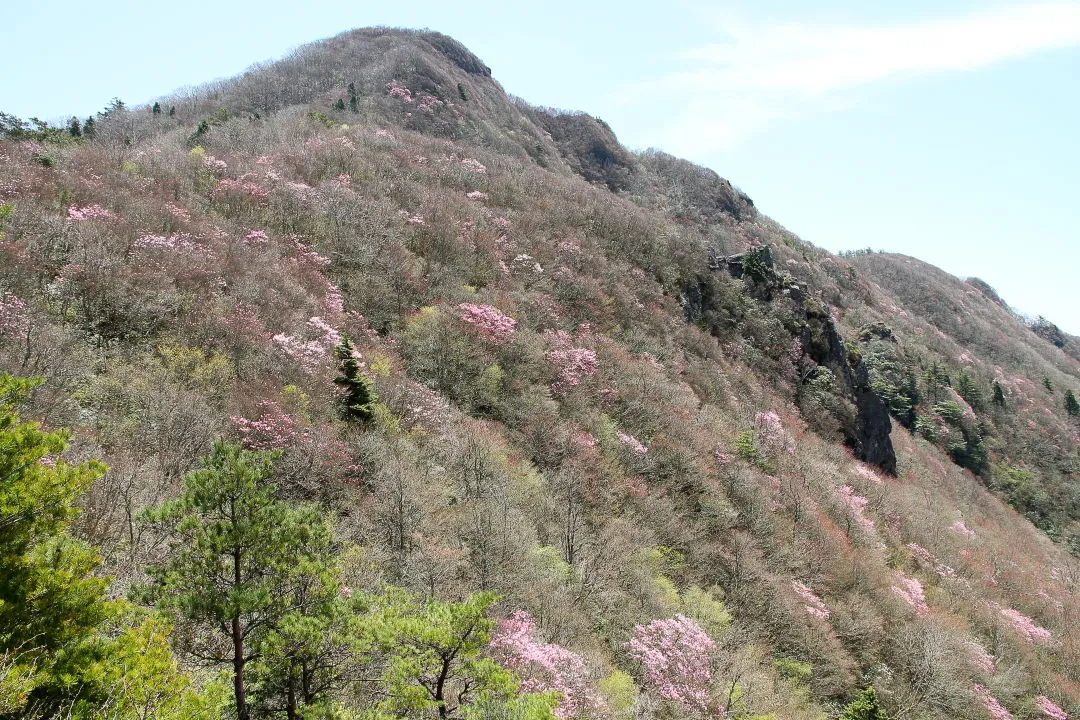 兜岩から西赤石山