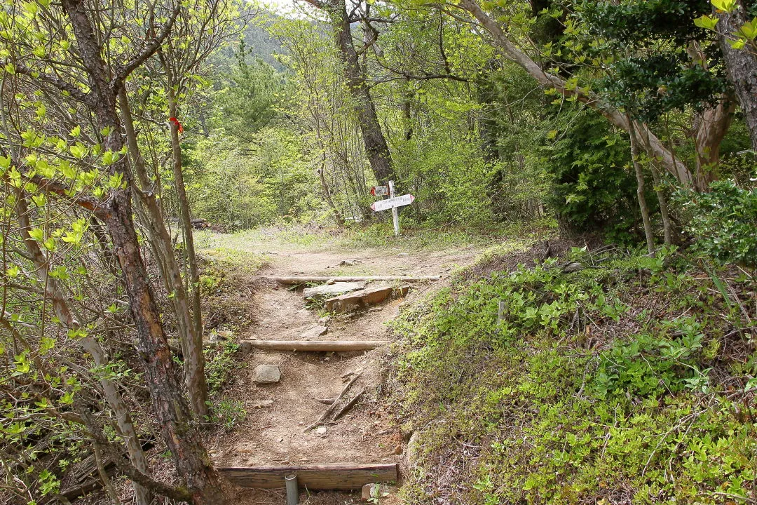 登山道を左側へ