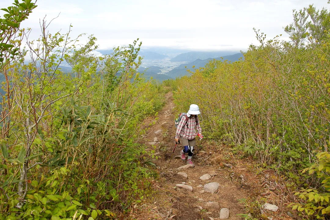 取立山へ