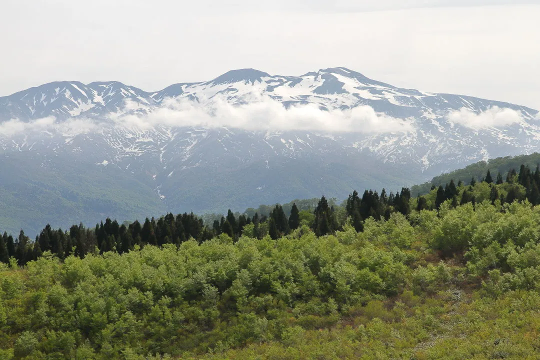 取立山から白山