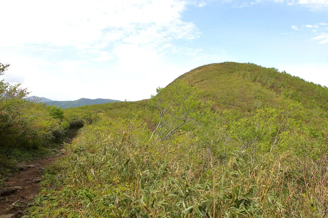 取立平から取立山