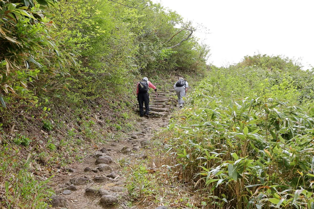 こつぶり山へ