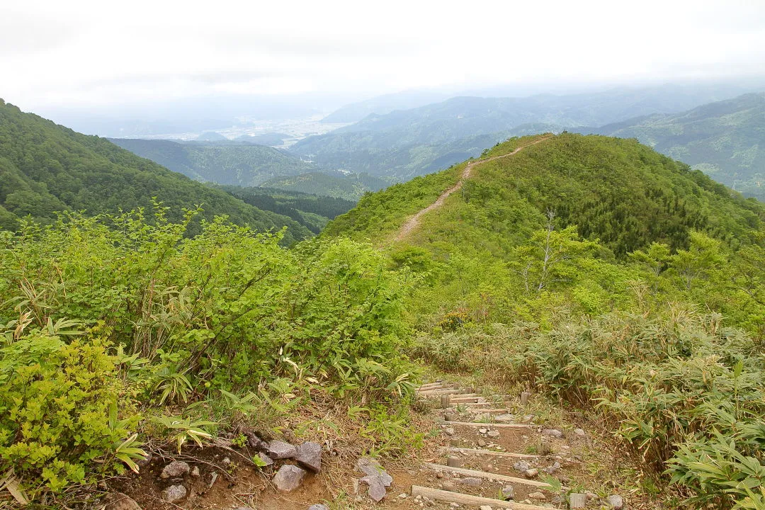 登山道