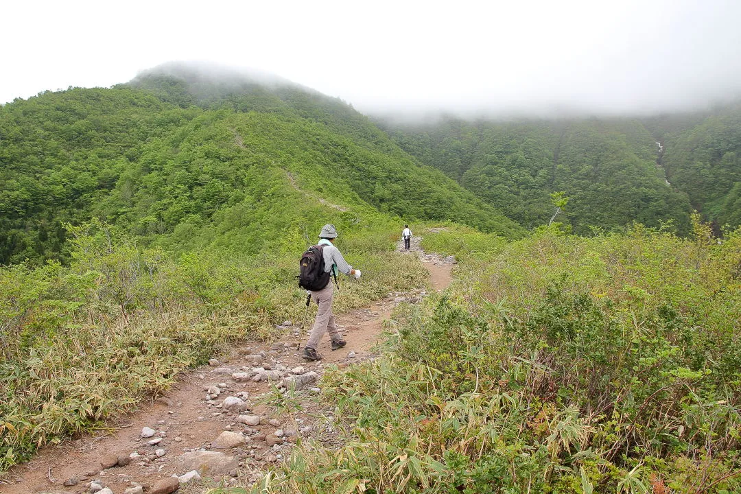 登山道