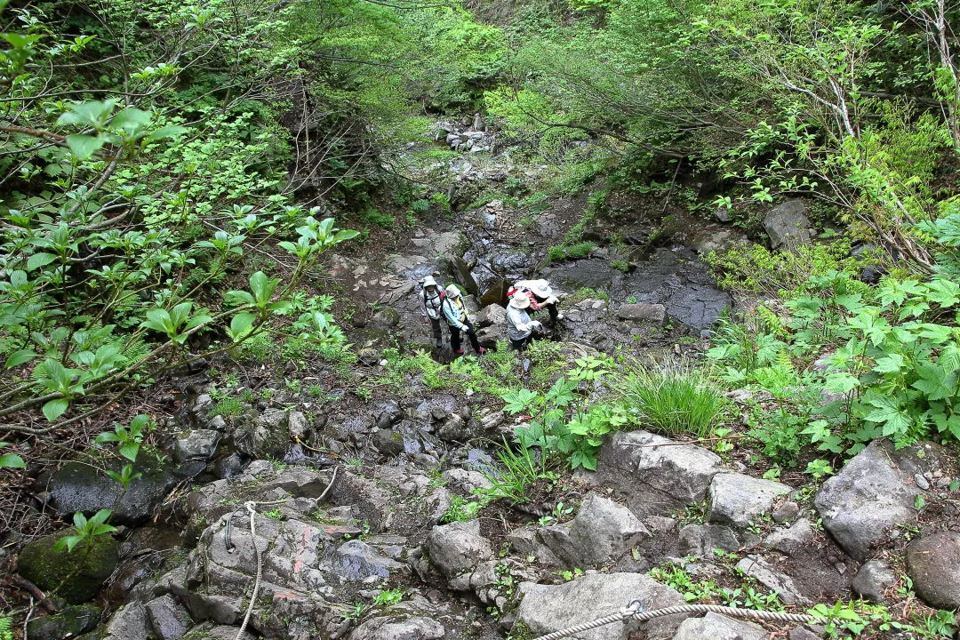 岩場を登る登山道