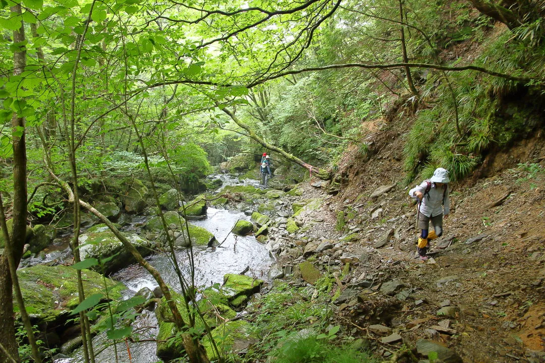 川沿いの登山道