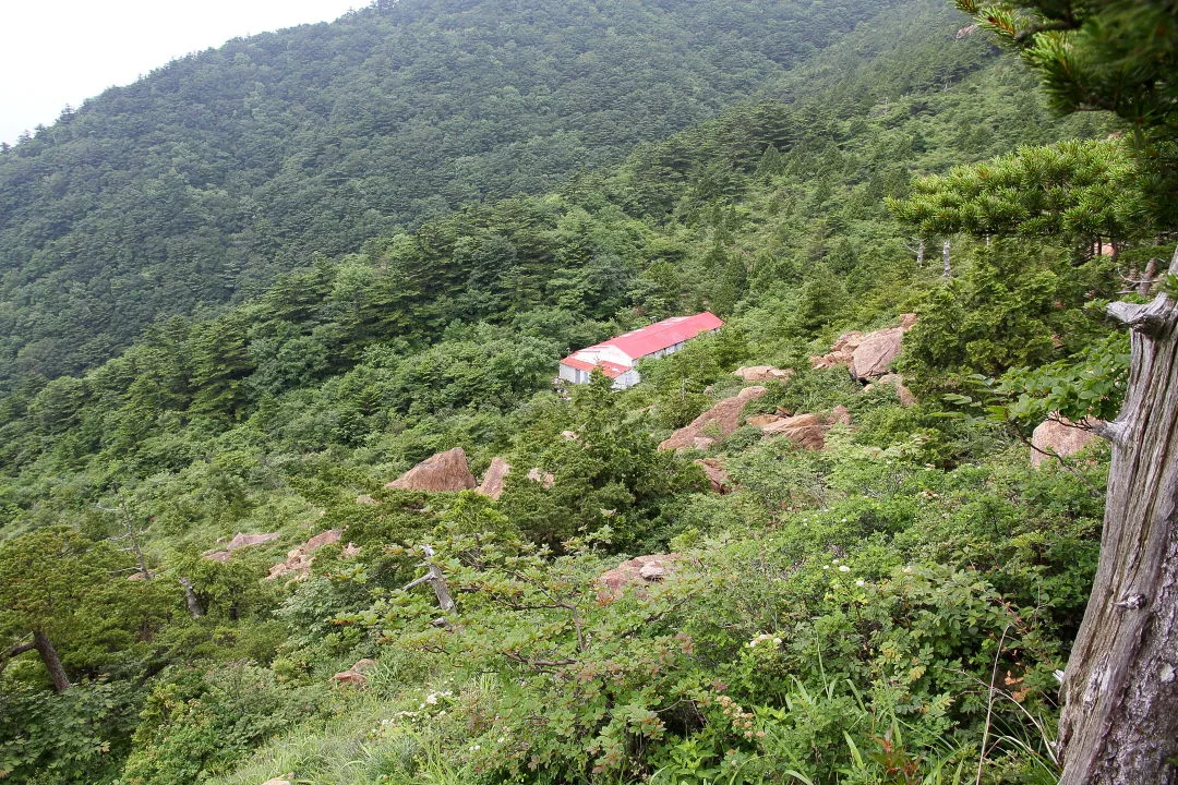 八巻山への登山道から