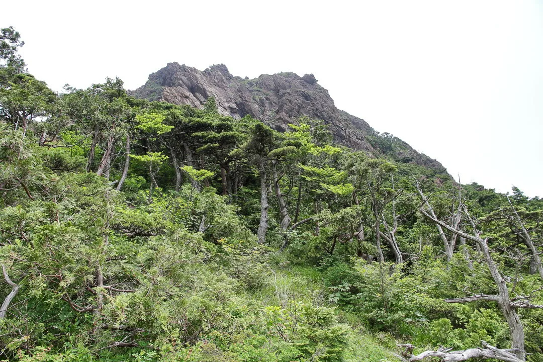 東赤石山