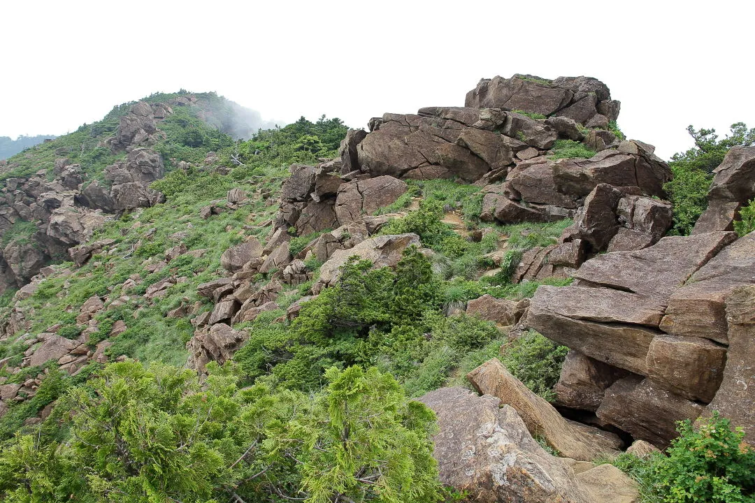 目指す東赤石山