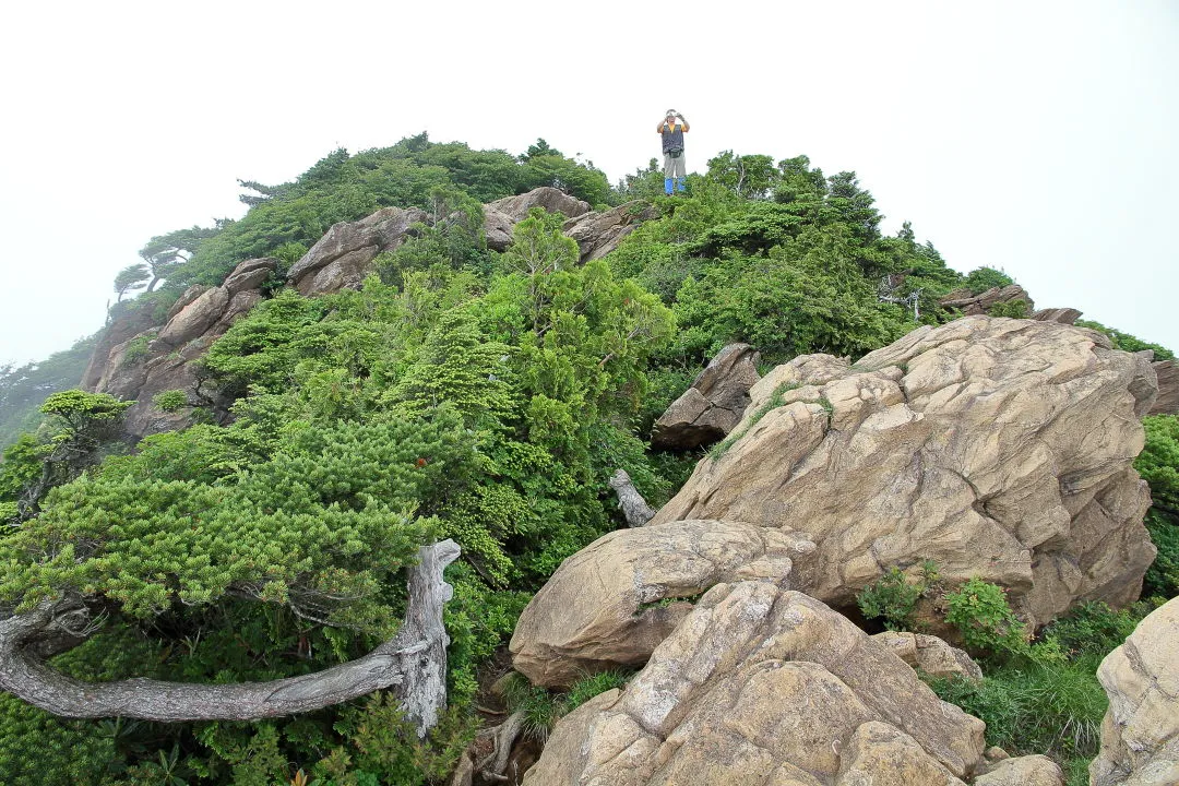 東赤石山を見上げる