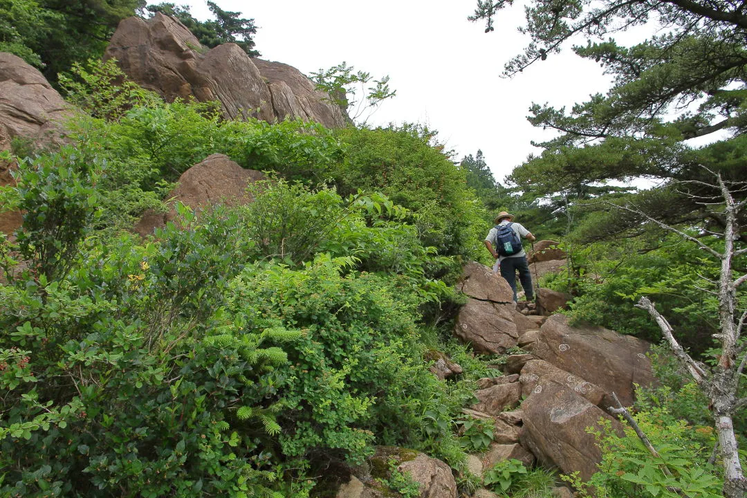 これから登る登山者も