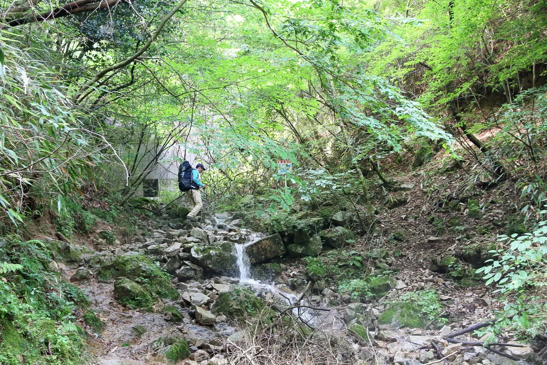 紅葉谷道を下る