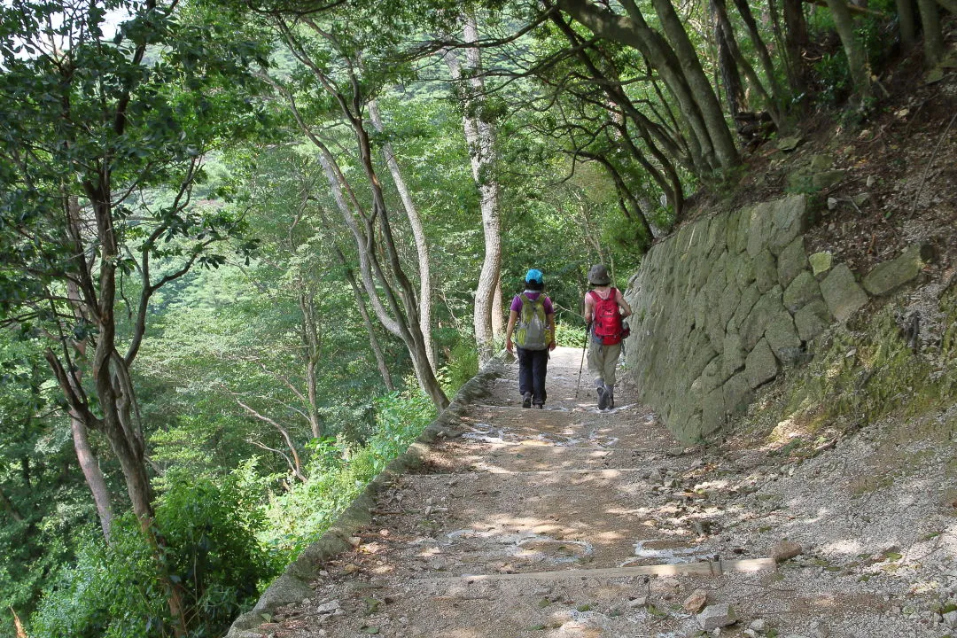 魚屋道を下る