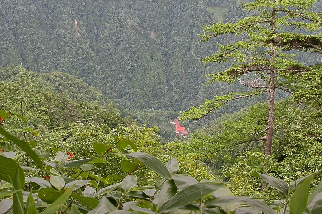 眼下に「中房温泉」の屋根が