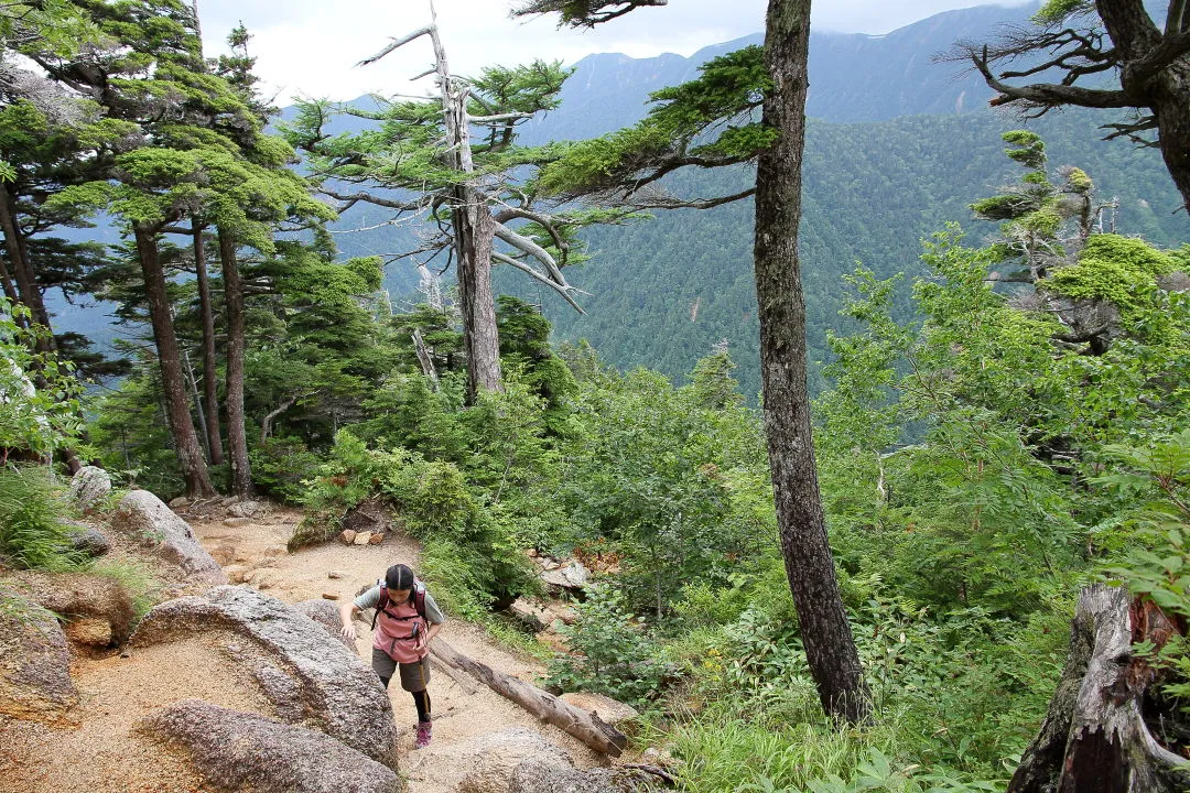 合戦小屋への登山道