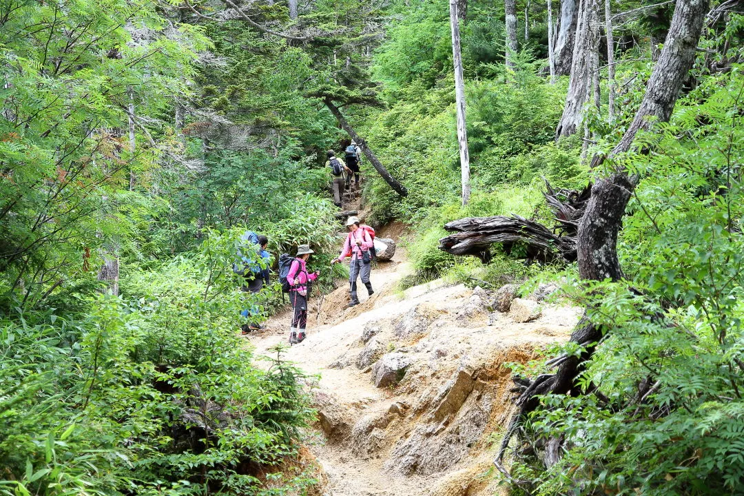 下山する登山者