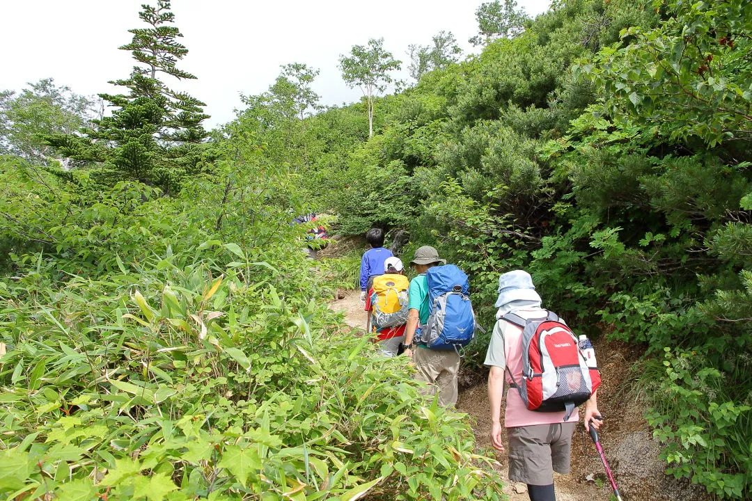 合戦尾根を歩く登山者