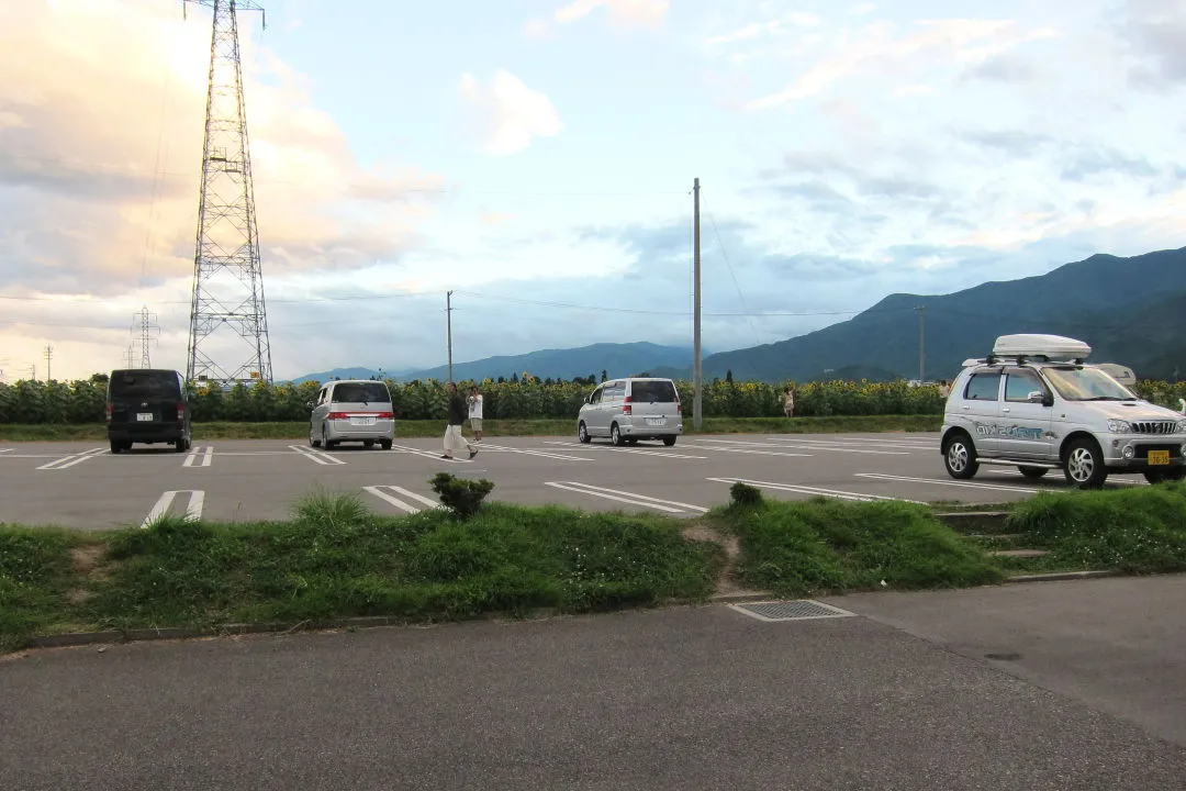 ひまわり畑に隣接した駐車場