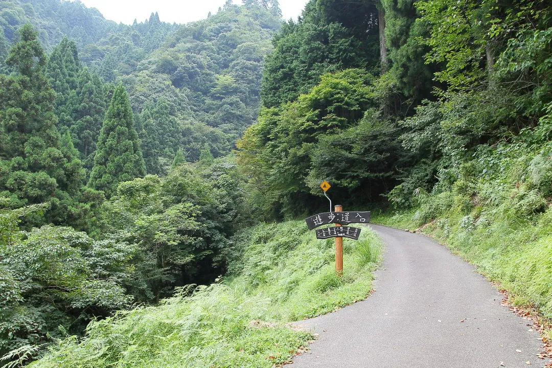 遊歩道入口部